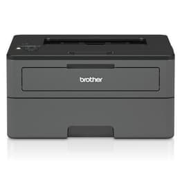 Brother HL-L2370DN Μονόχρωμο laser