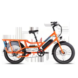 Rad Power Bikes radwagon 4 Ηλεκτρικό ποδήλατο