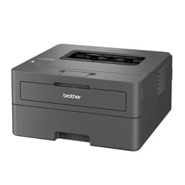 Brother HL-L2400DW Μονόχρωμο laser