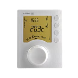 Delta Dore Calybox 230 Θερμοστάτης