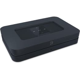 Bluesound Node 2 Αξεσουάρ ήχου