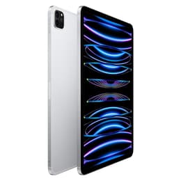 iPad Pro 11" (2022) 4η γενιά 256 Go - WiFi + 5G - Ασημί
