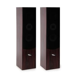 Evidence Acoustics EA700-WAL Ομιλητής PA