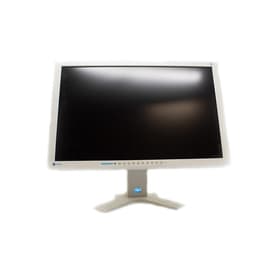 24" Eizo Flexscan S2433w 1920 x 1080 LCD monitor Γκρι