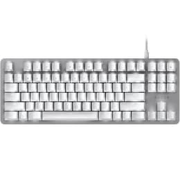 Razer Πληκτρολόγιο QWERTY Αγγλικά (US) Πληκτρολόγιο με φωτιζόμενα πλήκτρα Blackwidow Lite