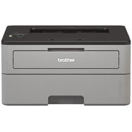 Brother HL-L2350DW Μονόχρωμο laser
