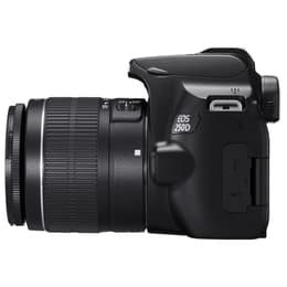 Reflex Canon EOS 250D