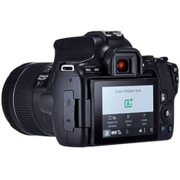 Reflex Canon EOS 250D
