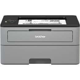 Brother HL-L2350DW Μονόχρωμο laser