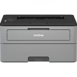 Brother HL-L2350DW Μονόχρωμο laser