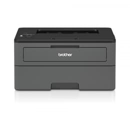 Brother HL-L2370DN Μονόχρωμο laser