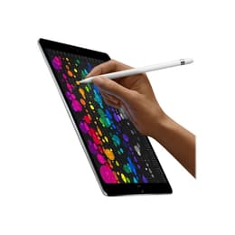 iPad Pro 10.5 (2017) 1η γενιά 512 Go - WiFi - Space Gray