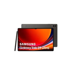 Galaxy Tab S9+ 256GB - Γκρι - WiFi + 5G