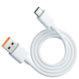 Καλώδιο (USB) 100W - Evetane