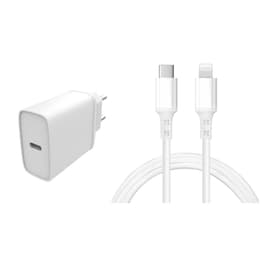 Καλώδιο και wallplug (USB-C + Lightning) 20W - WTK
